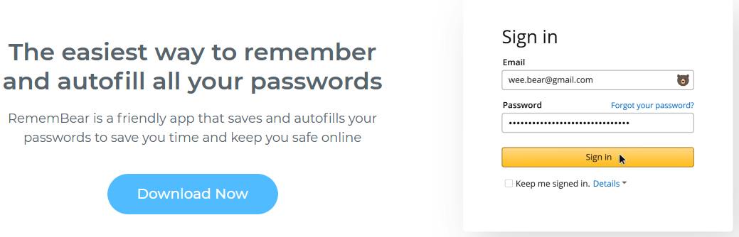 remembear review Security & Encryption